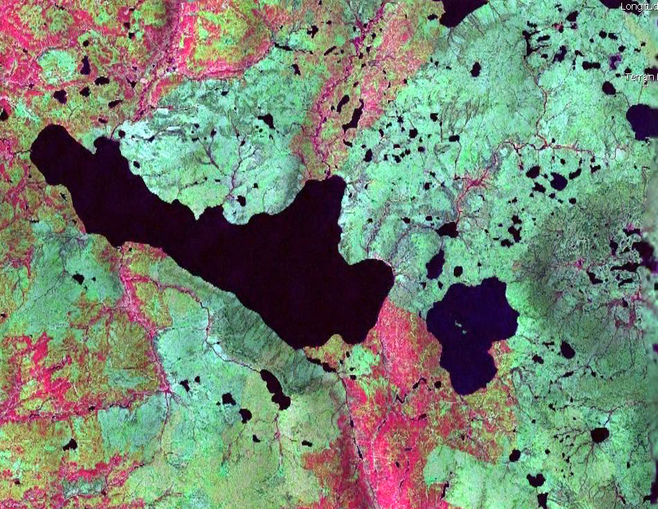 Landsat image of wildland fire ecosystems