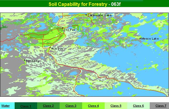 Forest capability of soils  around The Pas, Manitoba